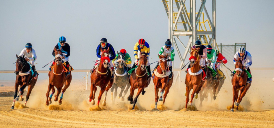 رئيس الدولة الخيول العربية